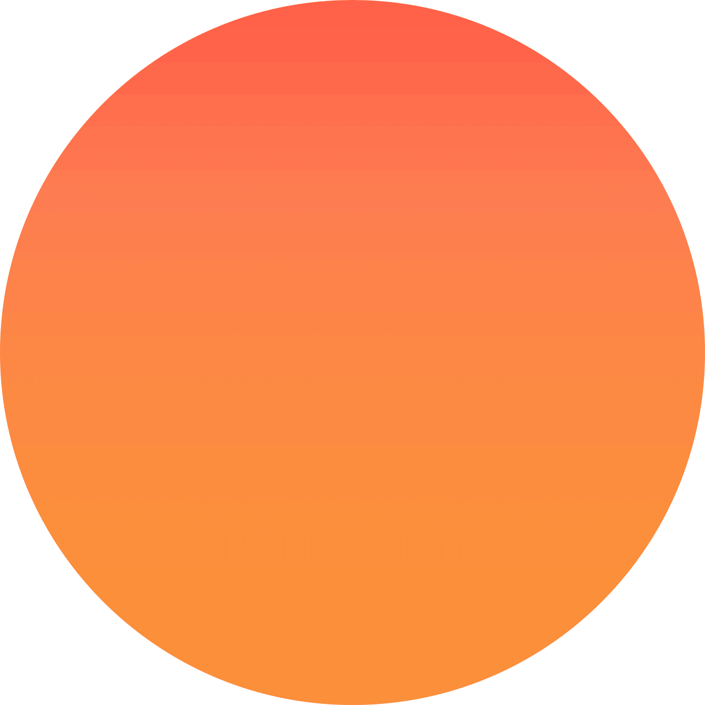 Bitcaptra Software Company