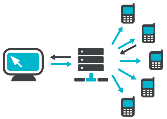 SMS API Integrations
